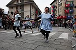 Gara delle Bighe 2011-7863